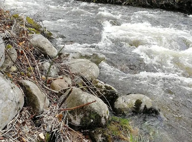 Prázdninový dům Le Petit Cabanon